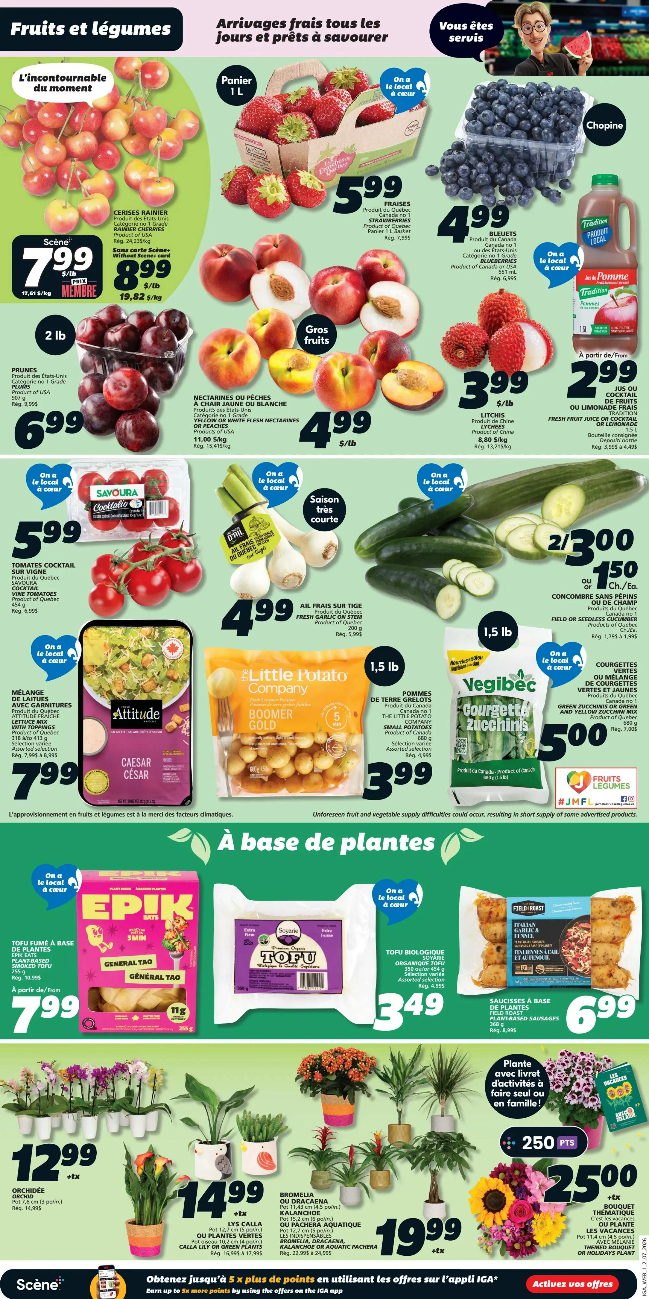 IGA Weekly Flyer Specials, Page 3. Featuring fresh fruits and vegetables including Rain Cherry at $7.99/lb, Prunes at $6.99/2 lb, Strawberries at $5.99/1L basket, Blueberries at $4.99/chopine, Nectarines or Peaches at $4.99/lb, and Lychees at $3.99/lb. Also available are Savoura Cocktail Tomatoes at $5.99, Fresh Garlic on Stem at $4.99/bunch, and Field or Seedless Cucumbers at 2 for $3.00. The flyer also highlights Little Potato Company Boomer Gold Small Potatoes for $3.99/1.5 lb. Plant-based options include General Tao Smoked Tofu starting at $7.99 and Organic Soy Tofu for $3.49. In the plant section, find Orchids at $12.99, Lys Calla or Green Plants for $14.99, and assorted plants like Bromelia, Dracaena, Kalanchoe, or Aquatic Pachira for $19.99. Additionally, get a Themed Bouquet for $25.00. Special offer: Earn up to 5x more points by using the IGA app.