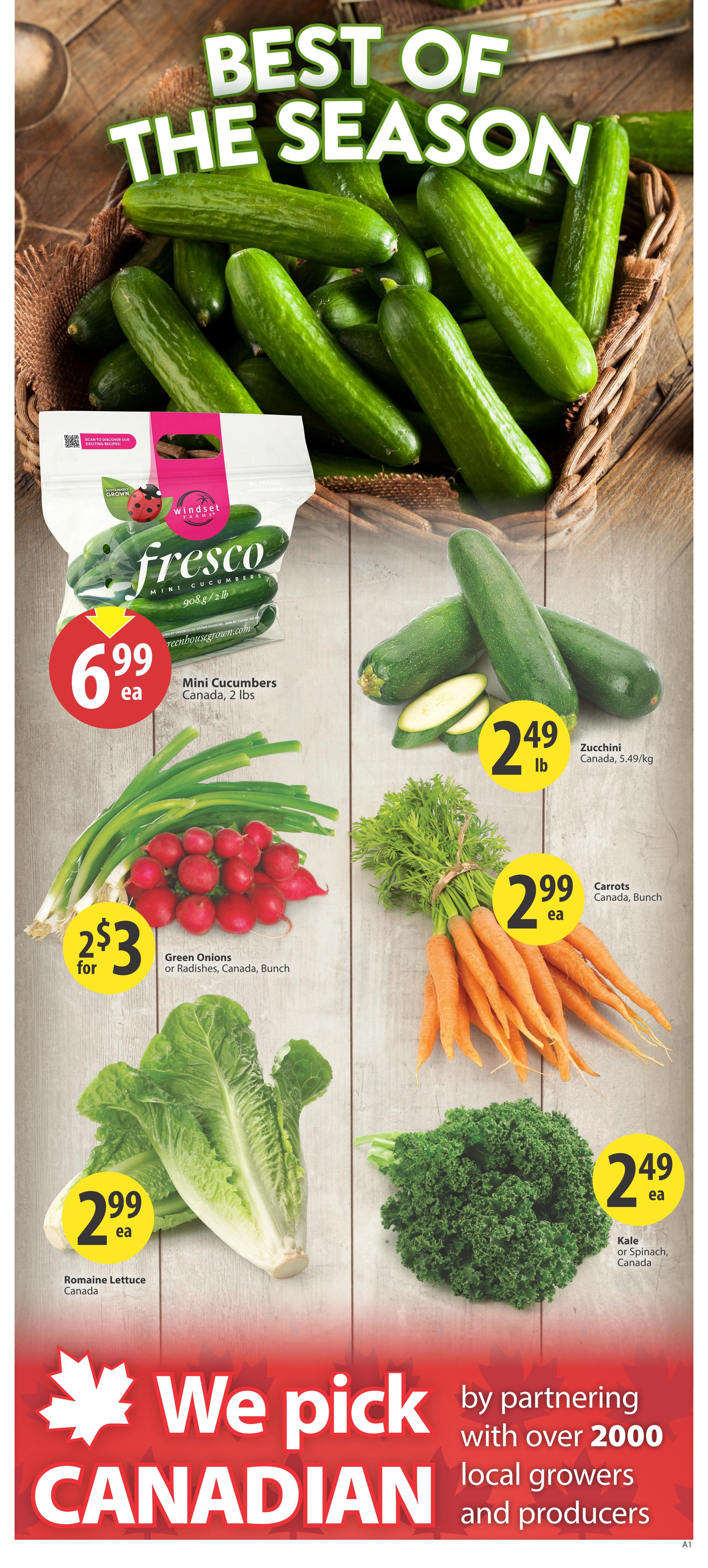 Save-On-Foods weekly flyer specials page 3 features 'Best of the Season' produce. Highlights include Fresco Mini Cucumbers, Canada, 2 lbs for $6.99 ea, Zucchini, Canada, 5.49/kg for $2.49 lb, Green Onions or Radishes, Canada, Bunch for 2 for $3, Carrots, Canada, Bunch for $2.99 ea, Romaine Lettuce, Canada for $2.99 ea, and Kale or Spinach, Canada for $2.49 ea. The page also promotes 'We pick CANADIAN' by partnering with over 2000 local growers and producers.