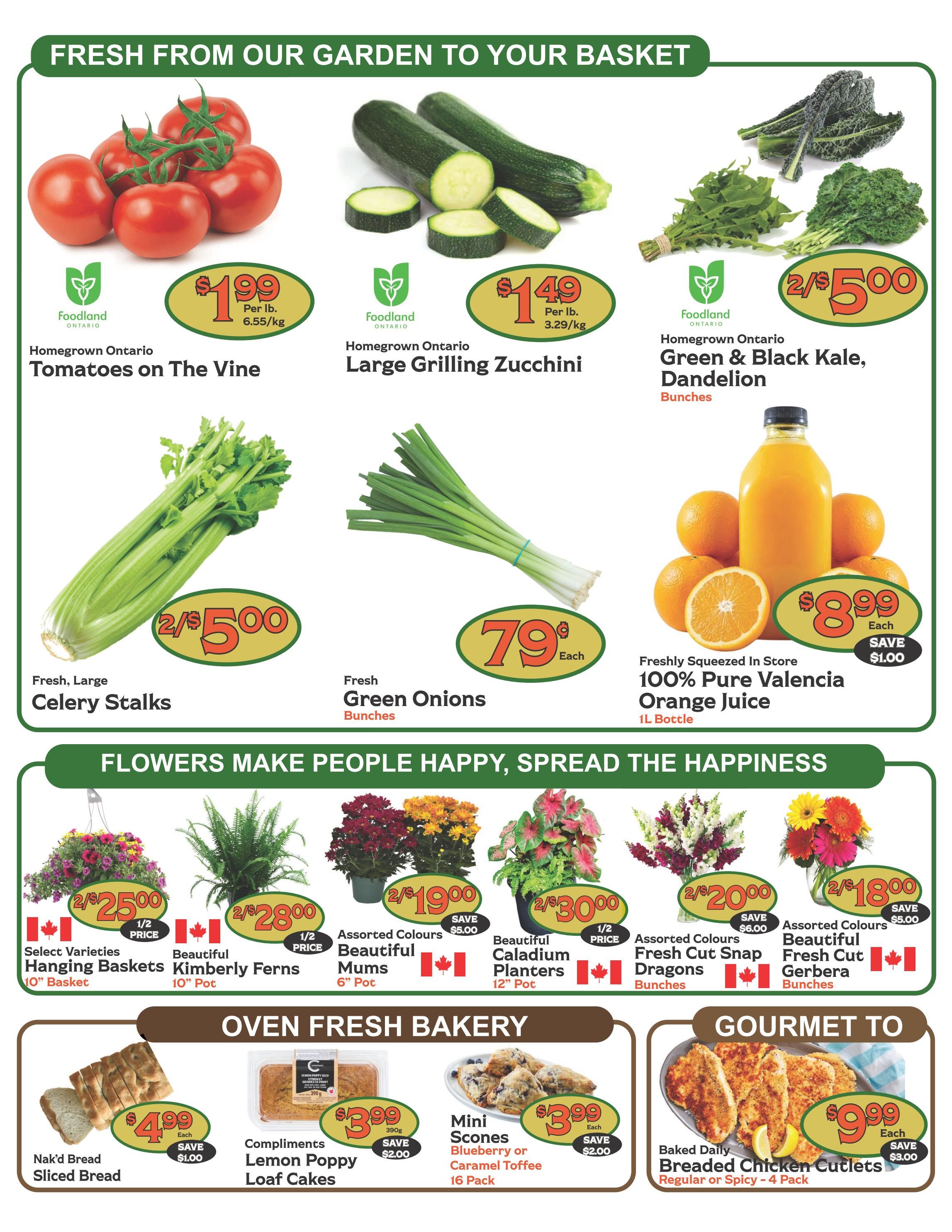The Garden Basket weekly flyer specials page 2 features fresh produce including Homegrown Ontario Tomatoes on the Vine at $1.99 per lb, Homegrown Ontario Large Grilling Zucchini at $1.49 per lb, and Homegrown Ontario Green & Black Kale and Dandelion bunches at 2 for $5.00. Also available are Fresh, Large Celery Stalks at 2 for $5.00 and Fresh Green Onions at 79 cents each. Enjoy 100% Pure Valencia Orange Juice, freshly squeezed in store, for $8.99 per 1L bottle, saving $1.00. The flyer also highlights 'Flowers Make People Happy, Spread the Happiness' with Select Varieties Hanging Baskets (10' Basket) at 2 for $25.00, Beautiful Kimberly Ferns (10' Pot) at 2 for $28.00, Assorted Colours Beautiful Mums (6' Pot) at 2 for $19.00, Beautiful Caladium Planters (12' Pot) at 2 for $30.00, Assorted Colours Fresh Cut Snap Dragons (Bunches) at 2 for $20.00, and Assorted Colours Beautiful Fresh Cut Gerbera (Bunches) at 2 for $18.00. The 'Oven Fresh Bakery' section offers Nak'd Bread Sliced Bread at $4.99 each, saving $1.00, and Compliments Lemon Poppy Loaf Cakes (390g) at $3.99, saving $2.00. Additionally, Mini Scones (Blueberry or Caramel Toffee, 16 Pack) are $3.99 each, saving $2.00. The 'Gourmet To' section features Baked Daily Breaded Chicken Cutlets (Regular or Spicy, 4 Pack) for $9.99 each, saving $3.00.