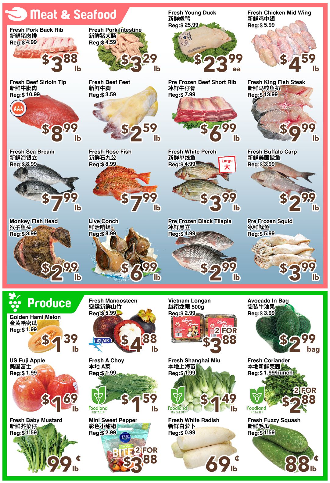 C&C Supermarket Weekly Flyer Specials Page 4 features a wide selection of Meat & Seafood and Produce. In the Meat & Seafood section, find Fresh Pork Back Ribs for $3.88/lb, Fresh Pork Intestine for $3.29/lb, Fresh Young Duck for $25.99 each, and Fresh Chicken Mid Wings for $4.59/lb. Also available are Fresh Beef Sirloin Tip for $8.99/lb, Fresh Beef Feet for $2.59/lb, Pre Frozen Beef Short Rib for $6.99/lb, and Fresh King Fish Steak for $9.99/lb. Seafood options include Fresh Sea Bream for $7.99/lb, Fresh Rose Fish for $7.99/lb, Fresh White Perch for $3.99/lb, Fresh Buffalo Carp for $2.99/lb, Monkey Fish Head for $2.99/lb, Live Conch for $6.99/lb, Pre Frozen Black Tilapia for $2.99/lb, and Pre Frozen Squid for $3.99/lb. The Produce section offers Golden Hami Melon for $1.39/lb, Fresh Mangosteen for $4.88/lb, Vietnam Longan 500g for 2 for $3.88, and Avocado In Bag for $2.99/bag. Additionally, US Fuji Apple is $1.69/lb, Fresh A Choy for $1.59/lb, Fresh Shanghai Miu for $1.49/lb, and Fresh Coriander for 2 for $2.88. Other produce includes Fresh Baby Mustard for $0.99/lb, Mini Sweet Pepper for 2 for $3.88, Fresh White Radish for $0.69/lb, and Fresh Fuzzy Squash for $0.88/lb.