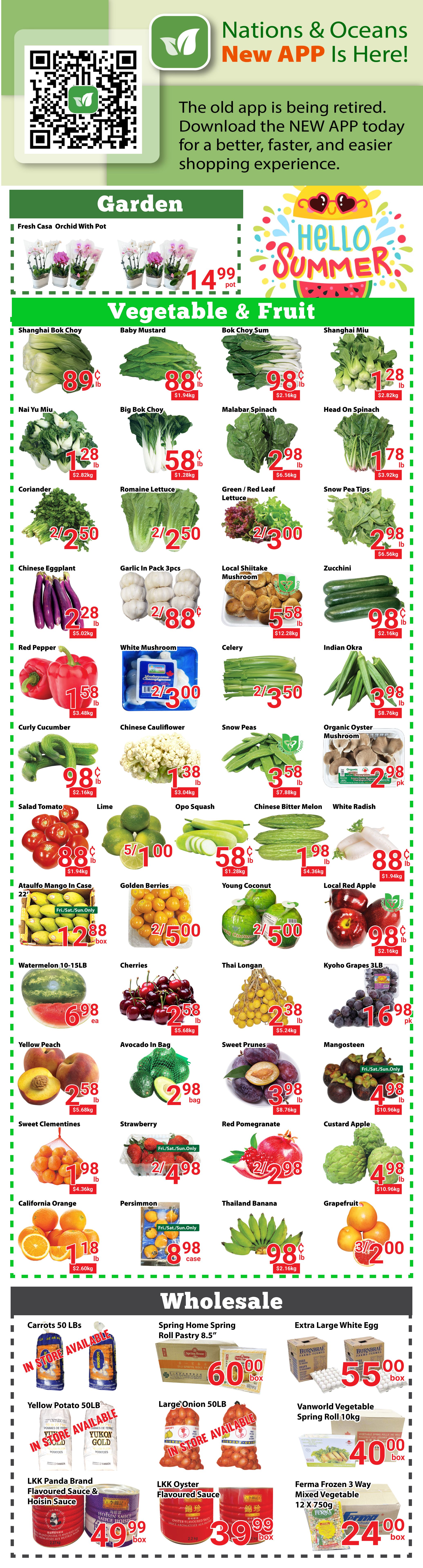 Nations Fresh Foods weekly flyer specials page 3 features a 'Garden' section with Fresh Casa Orchid Pots for $14.99 per pot. The 'Vegetable & Fruit' section includes Shanghai Bok Choy at $0.89/lb, Baby Mustard at $0.88/lb, Bok Choy Sum at $0.98/lb, Nai Yu Miu at $1.28/lb, Big Bok Choy at $0.58/lb, Malabar Spinach at $2.98/lb, Head On Spinach at $1.78/lb, Coriander at 2/$5.00, Romaine Lettuce at 2/$5.00, Green/Red Leaf Lettuce at 2/$3.00, Snow Pea Tips at $2.98/lb, Chinese Eggplant at $2.28/lb, Garlic in 3-pack for 2/$5.88, Local Shiitake Mushroom at $5.58/lb, Zucchini at $0.98/lb, Red Pepper at $1.58/lb, White Mushroom at 2/$3.00, Celery at 2/$3.50, Indian Okra at $3.98/lb, Curly Cucumber at $0.98/lb, Chinese Cauliflower at $1.38/lb, Snow Peas at $3.58/lb, Organic Oyster Mushroom at $2.98/pk, Salad Tomato at $0.88/lb, Lime at 5/$1.00, Opo Squash at $0.58/lb, Chinese Bitter Melon at $1.98/lb, White Radish at $0.88/lb, Ataulfo Mango in case for $12.88/box, Golden Berries at 2/$5.00, Young Coconut at 2/$5.00, Local Red Apple at $0.98/lb, Watermelon 10-15lb for $6.98/ea, Cherries at $2.58/lb, Thai Longan at $2.38/lb, Kyoho Grapes 3lb for $16.98/pk, Yellow Peach at $2.58/lb, Avocado in bag for $2.98/bag, Sweet Prunes at $3.98/lb, Mangosteen at $4.98/lb, Sweet Clementines at $1.98/lb, Strawberry at 2/$4.98, Red Pomegranate at 2/$2.98, Custard Apple at $4.98/lb, California Orange at $1.18/lb, Persimmon at $0.98/case, and Thailand Banana at $0.98/lb. The 'Wholesale' section includes Carrots 50 LBS (in store available), Yellow Potato 50LB (in store available), LKK Panda Brand Flavoured Sauce & Hoisin Sauce for $49.99/box, Spring Home Spring Roll Pastry 8.5' for $60.00/box, Large Onion 50LB (in store available), Vanworld Vegetable Spring Roll 10kg for $40.00/box, LKK Oyster Flavoured Sauce for $39.99/box, and Ferma Frozen 3 Way Mixed Vegetable 12 x 750g for $24.00/box. The flyer also promotes the Nations & Oceans New App.