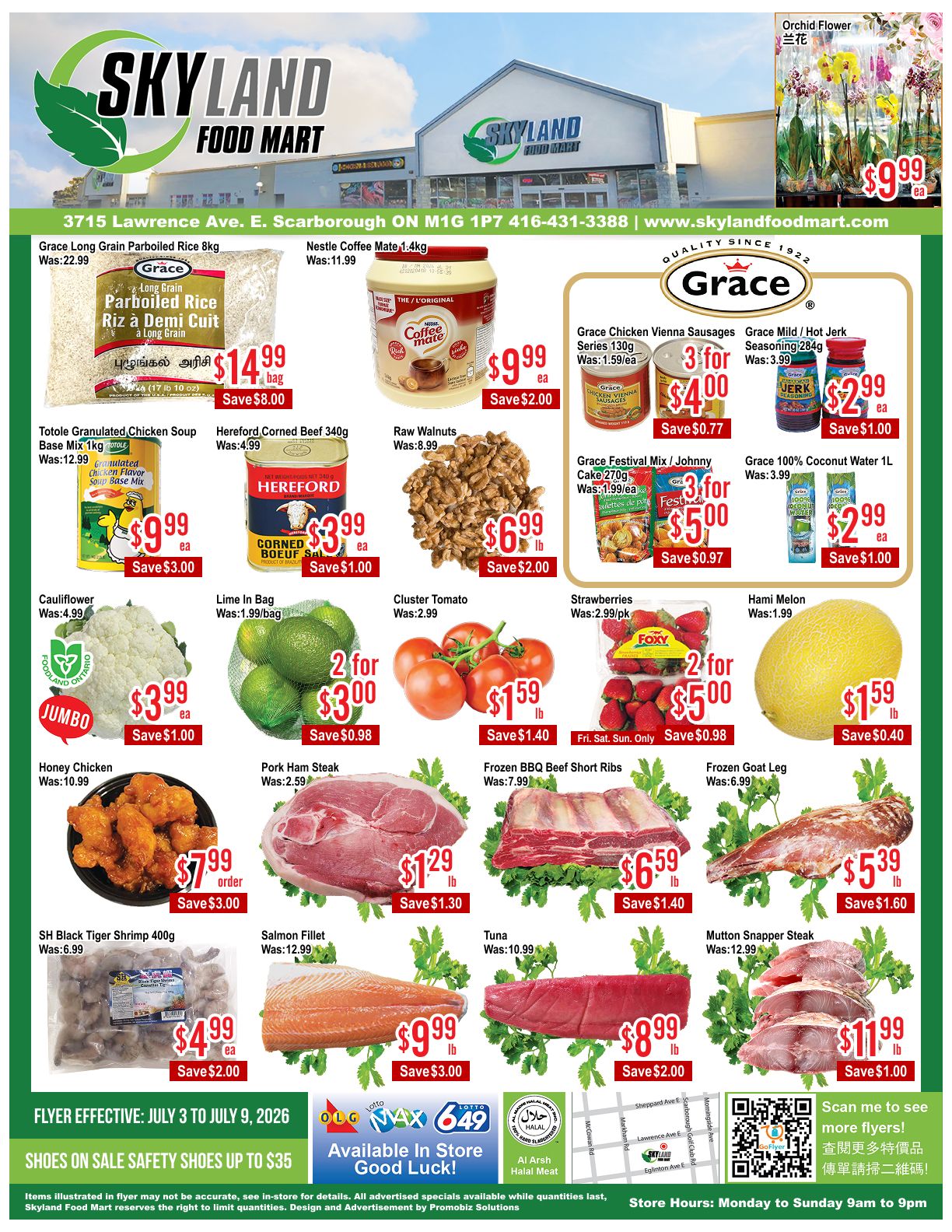 Skyland Food Mart weekly flyer specials page 1. Featured items include Grace Long Grain Parboiled Rice 8kg for $14.99, saving $8.00. Nestle Coffee Mate 1.4kg is $9.99, saving $2.00. Totole Granulated Chicken Soup Base Mix 1kg is $9.99, saving $3.00. Hereford Corned Beef 340g is $3.99, saving $1.00. Raw Walnuts are $6.99 per lb, saving $2.00. Grace Chicken Vienna Sausages Series 130g are 3 for $4.00, saving $0.77. Grace Mild/Hot Jerk Seasoning 284g is $2.99, saving $1.00. Grace Festival Mix / Johnny Cake 270g are 3 for $5.00, saving $0.97. Grace 100% Coconut Water 1L is $2.99, saving $1.00. Cauliflower is $3.99 each, saving $1.00. Lime in Bag is 2 for $3.00, saving $0.98. Cluster Tomato is $1.59 per lb, saving $1.40. Strawberries are 2 for $5.00, saving $0.98 (Fri-Sun only). Hami Melon is $1.59 per lb, saving $0.40. Honey Chicken is $7.99 per order, saving $3.00. Pork Ham Steak is $1.29 per lb, saving $1.30. Frozen BBQ Beef Short Ribs are $6.59 per lb, saving $1.40. Frozen Goat Leg is $5.39 per lb, saving $1.60. SH Black Tiger Shrimp 400g is $4.99 each, saving $2.00. Salmon Fillet is $9.99 per lb, saving $3.00. Tuna is $8.99 per lb, saving $2.00. Mutton Snapper Steak is $11.99 per lb, saving $1.00. Flyer effective July 3 to July 9, 2026. Shoes on sale safety shoes up to $35.
