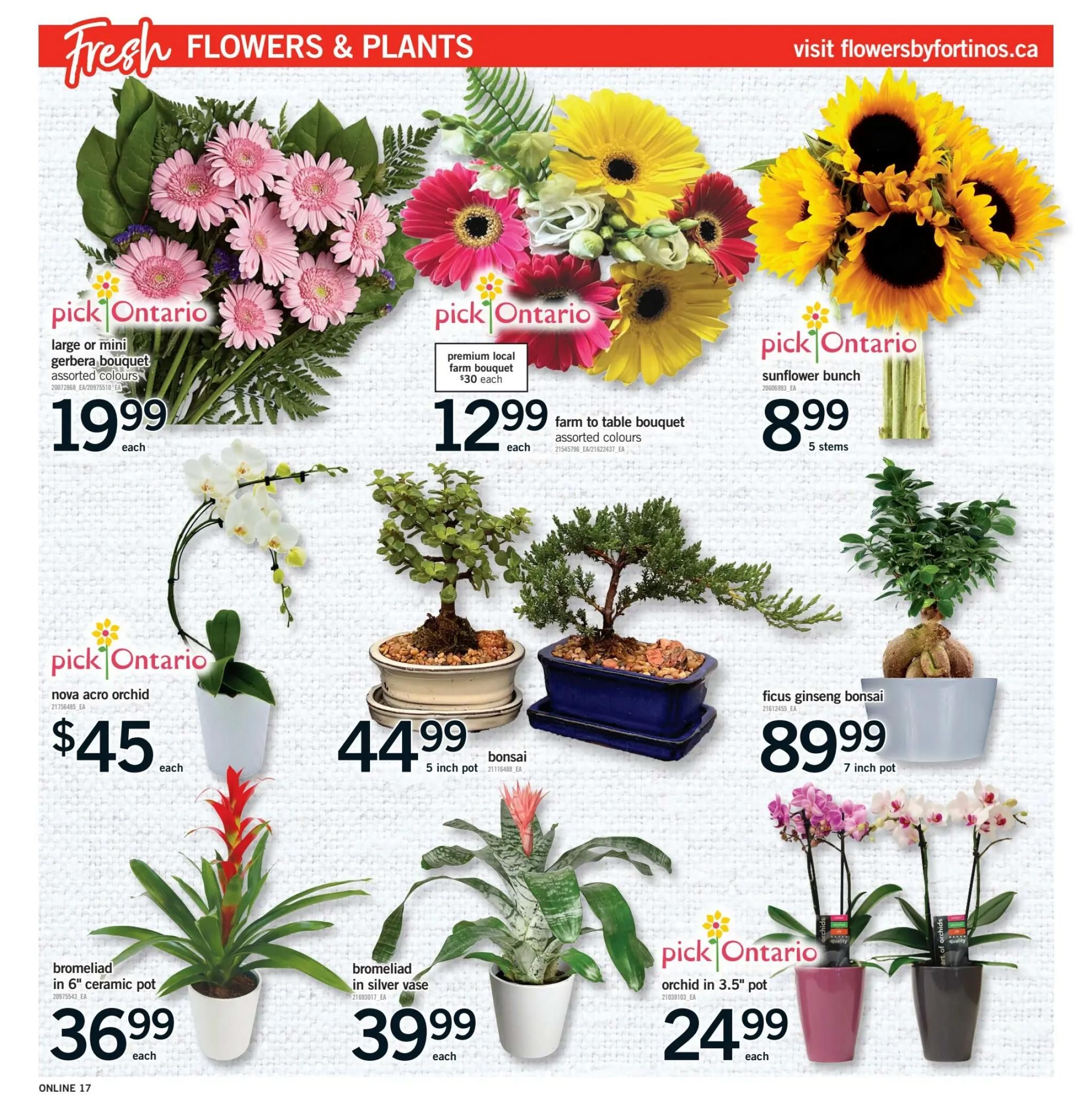 Fortinos flyer page 16 features fresh flowers and plants. Offers include a large or mini gerbera bouquet in assorted colours for $19.99 each, a premium local farm bouquet for $12.99 each, and a sunflower bunch for $8.99. Also available are a nova acro orchid for $45 each, a 5-inch bonsai for $44.99, and a ficus ginseng bonsai in a 7-inch pot for $89.99. Additionally, a bromeliad in a 6' ceramic pot is $36.99 each, a bromeliad in a silver vase is $39.99 each, and an orchid in a 3.5' pot is $24.99 each. Visit flowersbyfortinos.ca for more details.