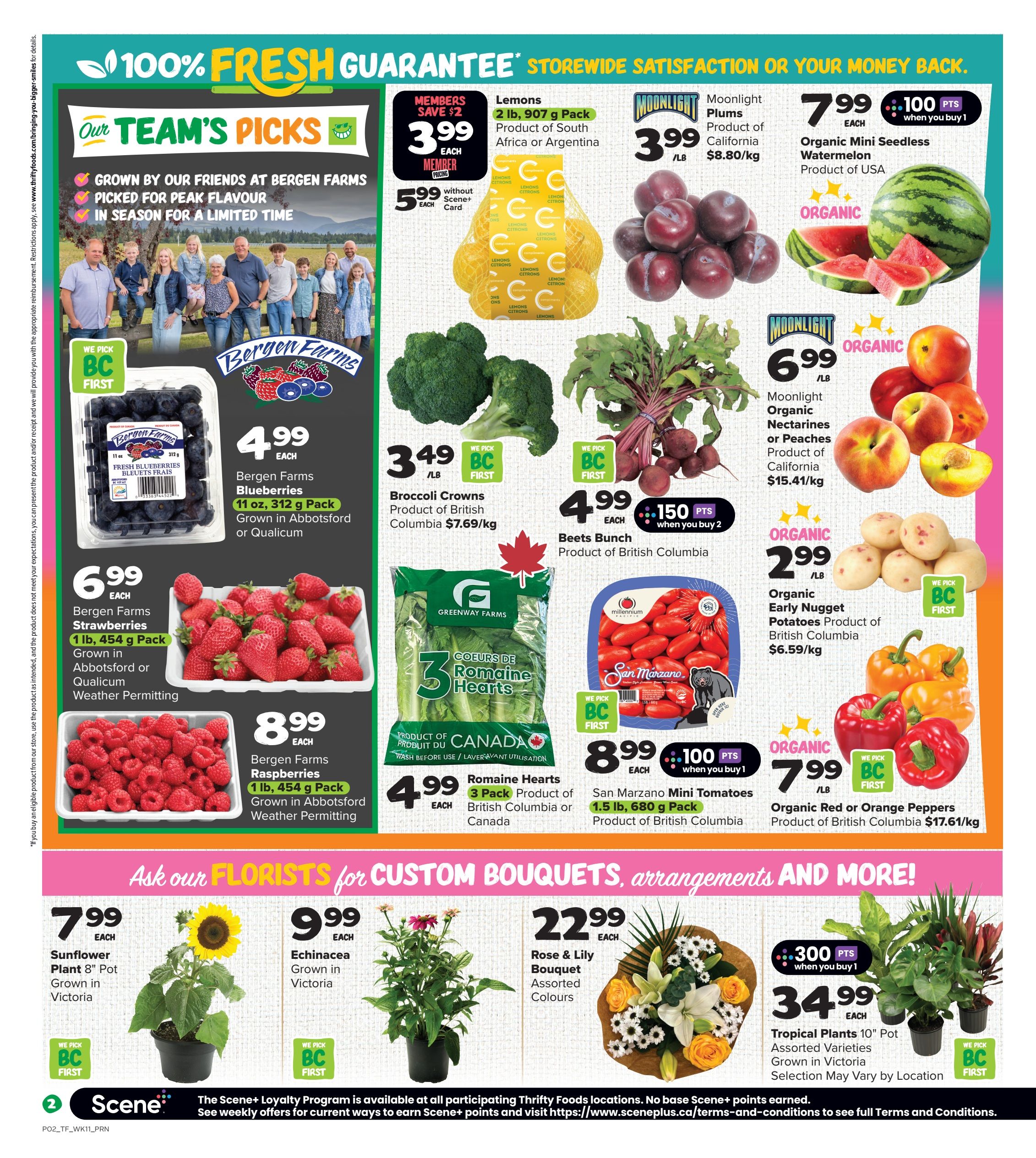 Thrifty Foods weekly flyer specials, Page 3. Our Team's Picks feature Bergen Farms produce. Get 11 oz, 312 g pack of Bergen Farms Blueberries for $4.99 each, grown in Abbotsford or Qualicum. Also available are 1 lb, 454 g pack of Bergen Farms Strawberries for $6.99 each, and 1 lb, 454 g pack of Bergen Farms Raspberries for $8.99 each, both grown in Abbotsford or Qualicum, weather permitting. Other produce deals include Lemons, 2 lb, 907 g pack for $3.99 each (member price) or $5.99 without Scene+ card. Broccoli Crowns are $3.49/lb, product of British Columbia. Beets Bunch is $4.99 each with 150 Scene+ points when you buy 2, product of British Columbia. Moonlight Plums are $3.99/lb, product of California. Organic Mini Seedless Watermelon is $7.99 each with 100 Scene+ points when you buy 1, product of USA. Moonlight Organic Nectarines or Peaches are $6.99/lb, product of California. Organic Early Nugget Potatoes are $2.99/lb, product of British Columbia. Organic Red or Orange Peppers are $7.99/lb, product of British Columbia. Greenway Farms Romaine Hearts, 3 pack, are $4.99 each, product of British Columbia or Canada. San Marzano Mini Tomatoes, 1.5 lb, 680 g pack, are $8.99 each with 100 Scene+ points when you buy 1, product of British Columbia. In the floral section, get a Sunflower Plant 8' Pot for $7.99 each, grown in Victoria. Echinacea is $9.99 each, grown in Victoria. A Rose & Lily Bouquet with assorted colours is $22.99 each. Tropical Plants, 10' Pot, assorted varieties grown in Victoria are $34.99 each with 300 Scene+ points when you buy 1. Selection may vary by location.
