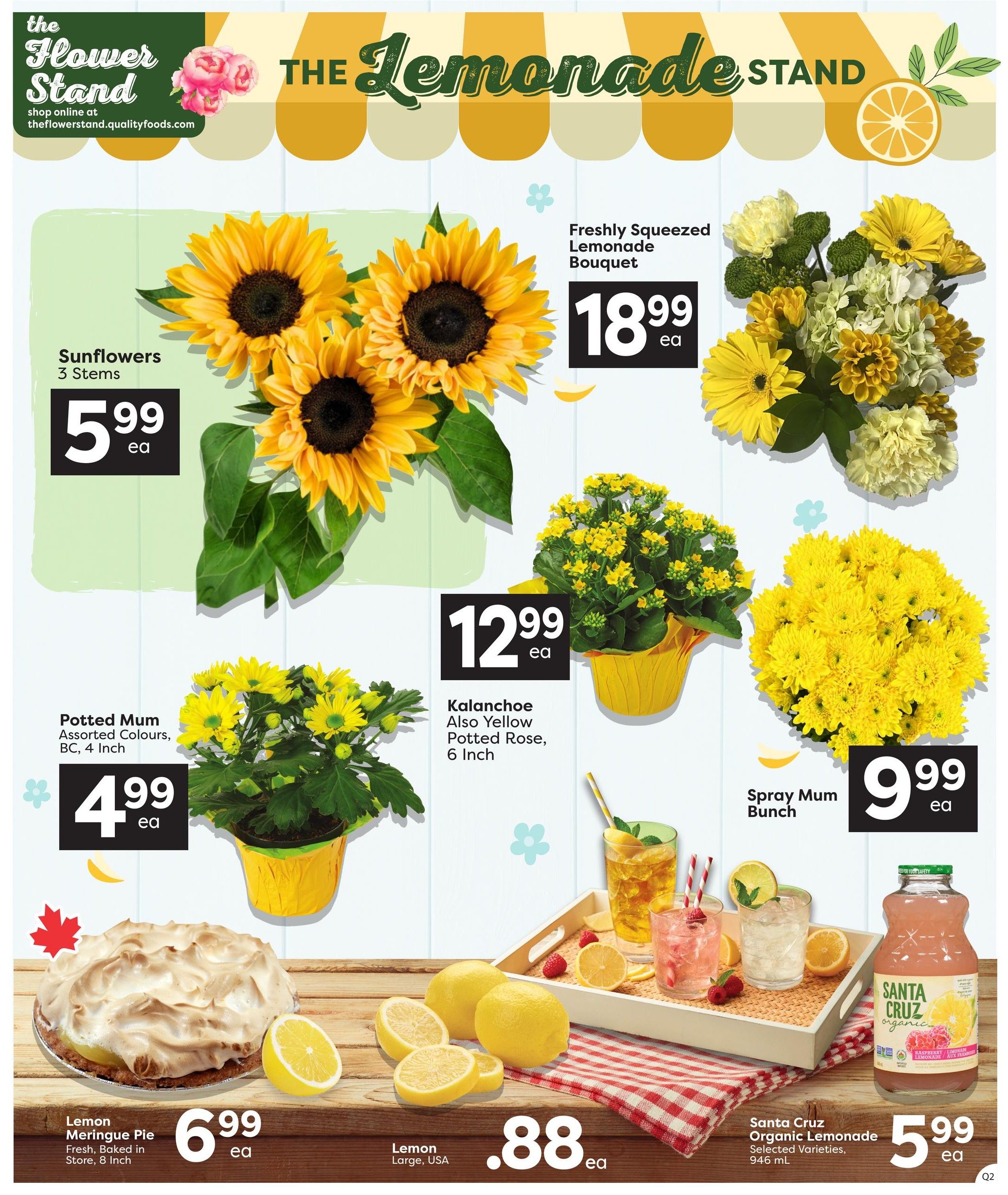 Quality Foods Weekly Flyer Specials Page 3 features The Flower Stand and The Lemonade Stand. Deals include Sunflowers (3 stems) for $5.99 each, a Freshly Squeezed Lemonade Bouquet for $18.99 each, Potted Mum in assorted colours (BC, 4 inch) for $4.99 each, Kalanchoe or Yellow Potted Rose (6 inch) for $12.99 each, and a Spray Mum Bunch for $9.99 each. Also featured is a Lemon Meringue Pie (fresh, baked in store, 8 inch) for $6.99 each, Large USA Lemons for $0.88 each, and Santa Cruz Organic Lemonade (selected varieties, 946 mL) for $5.99 each.