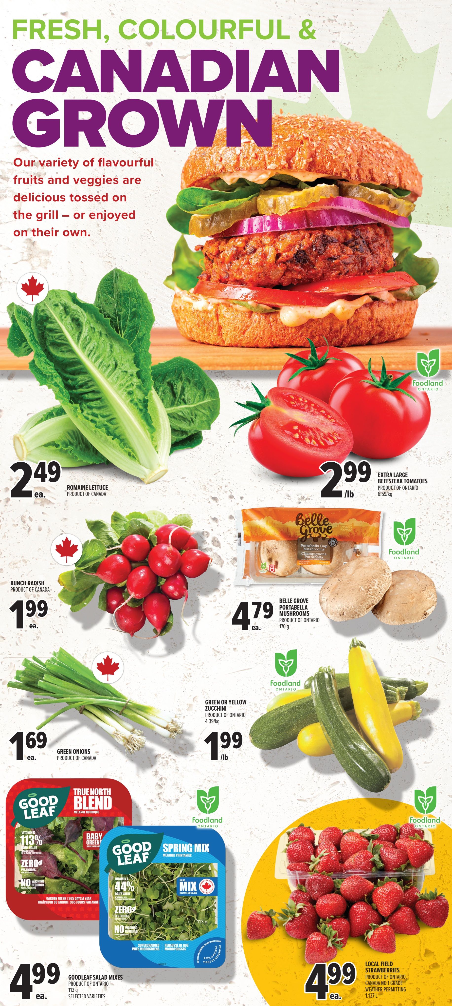 Metro Ontario flyer page 12 featuring fresh, colourful, and Canadian-grown produce. Highlights include Romaine Lettuce for $2.49 each, Extra Large Beefsteak Tomatoes (Product of Ontario) for $2.99/lb, Bunch Radish (Product of Canada) for $1.99 each, and Belle Grove Portabella Mushrooms (Product of Ontario) for $4.79 each. Also featured are Green Onions (Product of Canada) for $1.69 each, Green or Yellow Zucchini (Product of Ontario) for $1.99/lb, Goodleaf Salad Mixes (Product of Ontario) for $4.99 each, and Local Field Strawberries (Product of Ontario, Canada No.1 Grade, weather permitting) for $4.99 each.