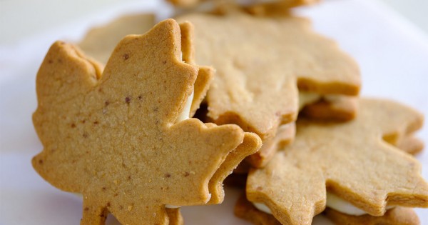 Maple Sandwich Cookies