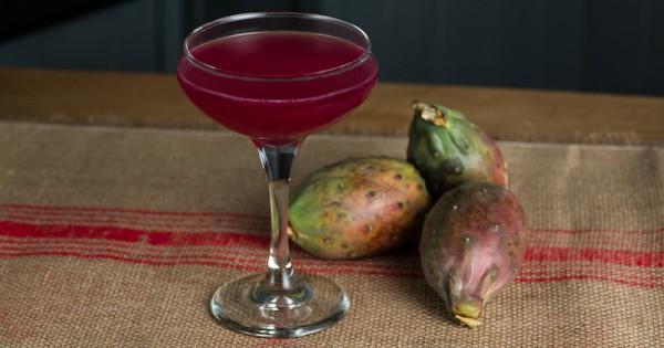 Prickly Pear Tequila Cocktail