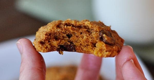 Triple Chip Pumpkin Oatsies