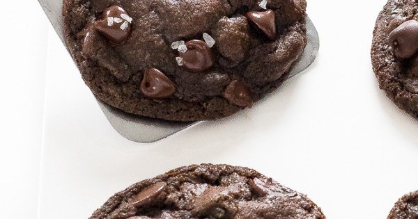 Double Chocolate Coconut Oil Cookies
