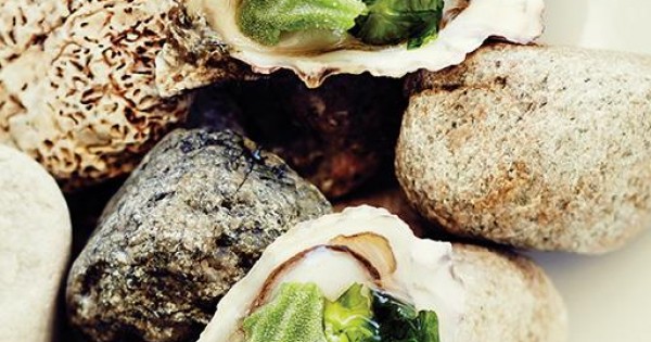 West Coast Oyster in its Element