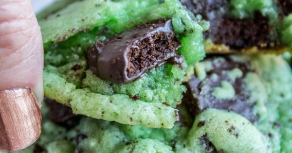 Thin Mint Mint Cookies