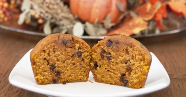 Pumpkin Chocolate Chip Muffins