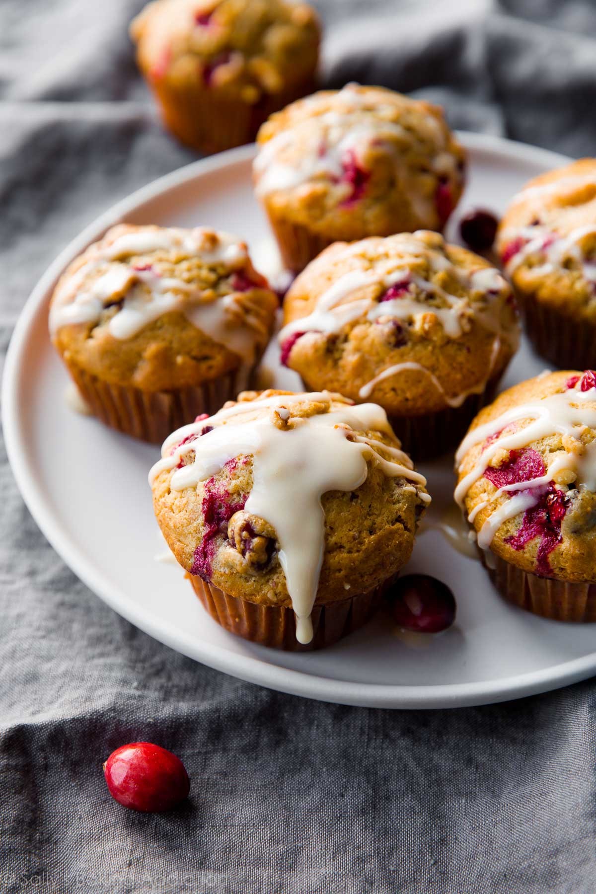 Cranberry Cardamom Spice Muffins-image