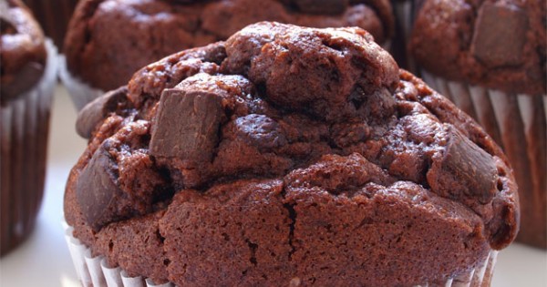 Chocolate Chocolate Chunk Muffins
