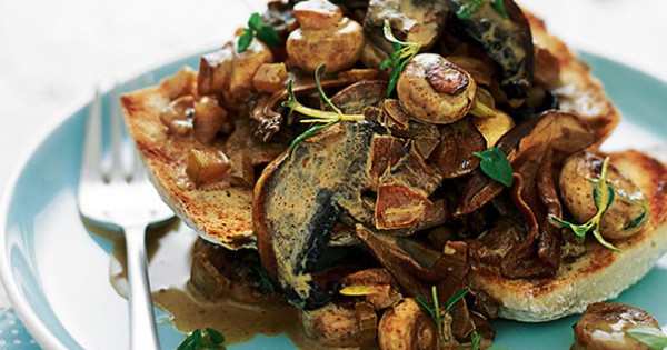 Mushroom stroganoff