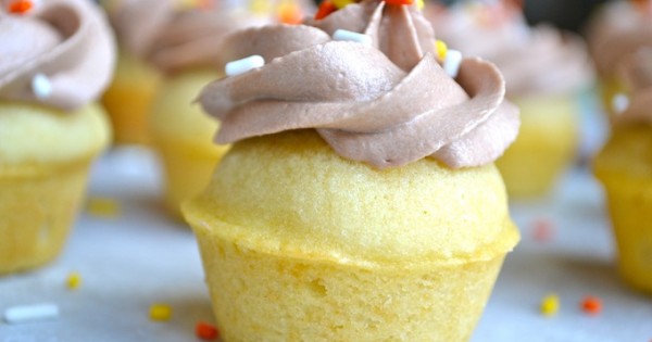 Vanilla Cupcakes with Cocoa Buttercream Frosting