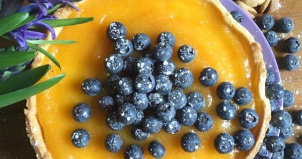 Persimmon Cheesecake with Blueberries