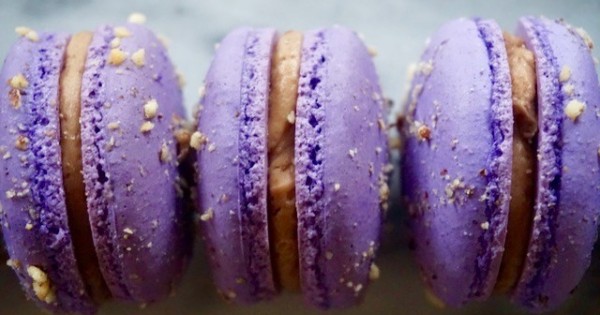 Chocolate Hazelnut Macarons