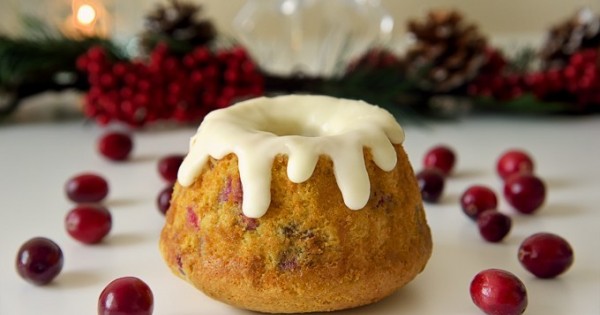 Vegan Cranberry Orange Bundt Cake