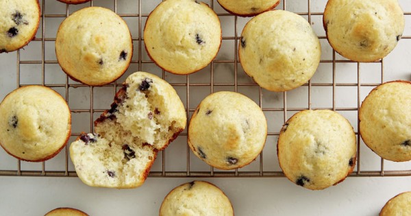 Wild Blueberry Mini-Muffins