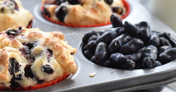 Blue Honeyberry, White Chocolate and Coconut Muffins