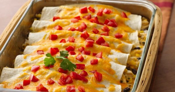 Creamy Chicken Chile Enchiladas