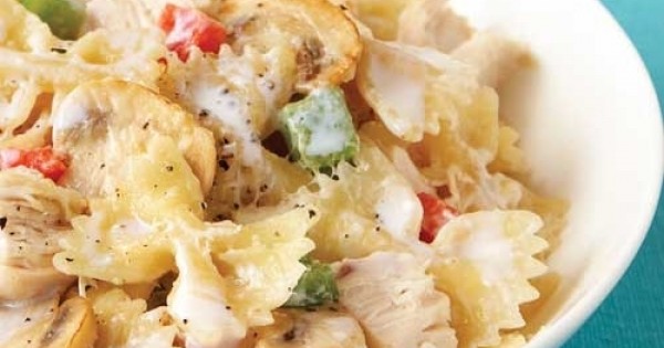 Chicken & Bow Tie Stroganoff