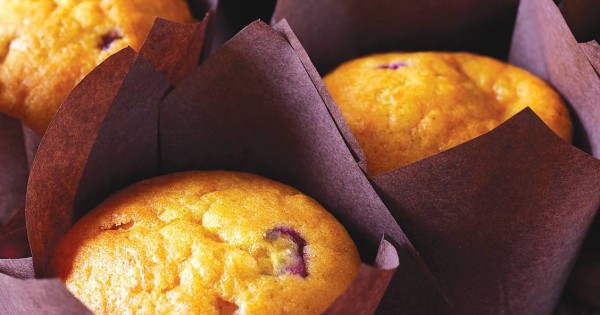 Butternut Squash and Cranberry Muffins