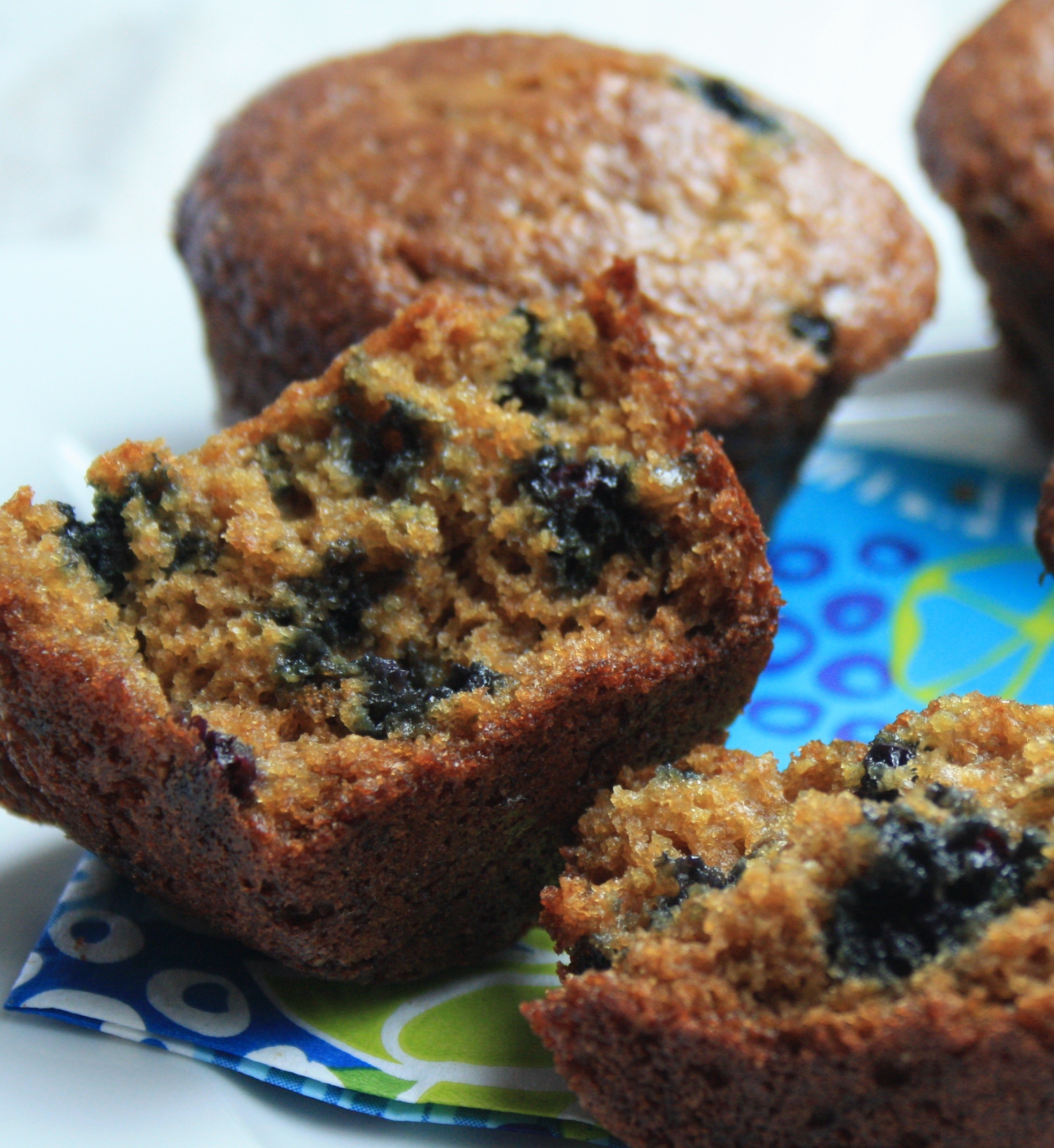 Healthy Blueberry Wheat Germ Muffins-image