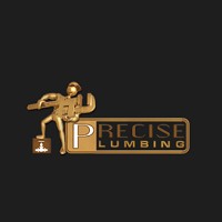 Precise Plumbing Logo